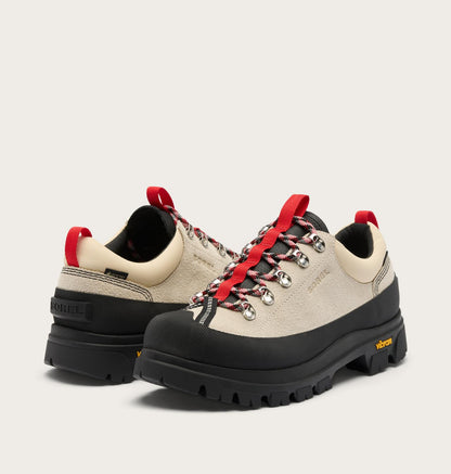 Daystorm™ Nomad GTX Men's Shoe - US 3454