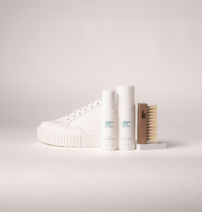 Essential Shoe Care Kit - US 8361